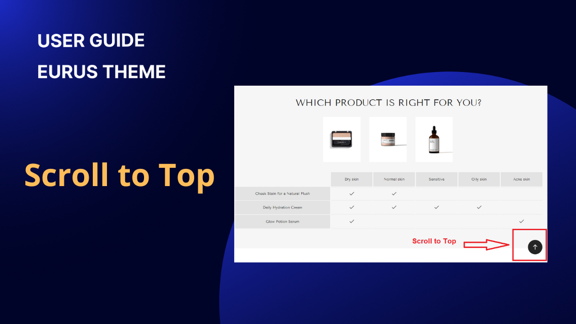 Scroll to Top