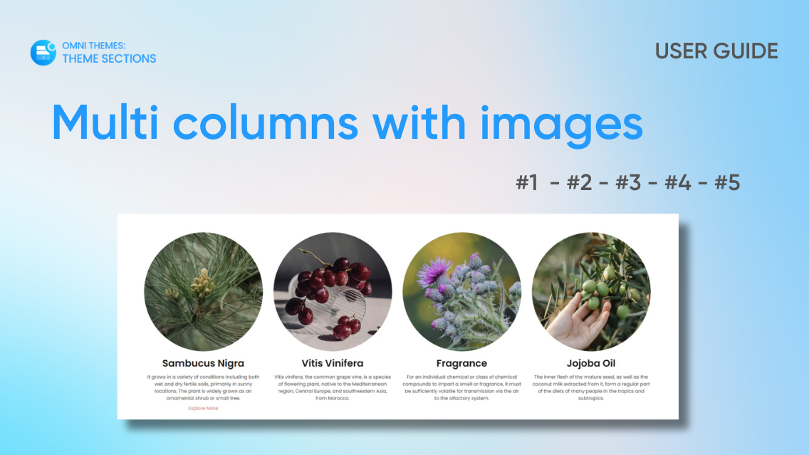 Multi columns with images