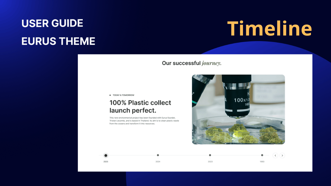 Timeline